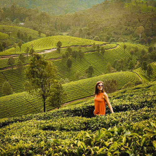 kerala